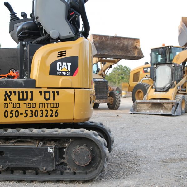 בובקט זחל בובקט זחל